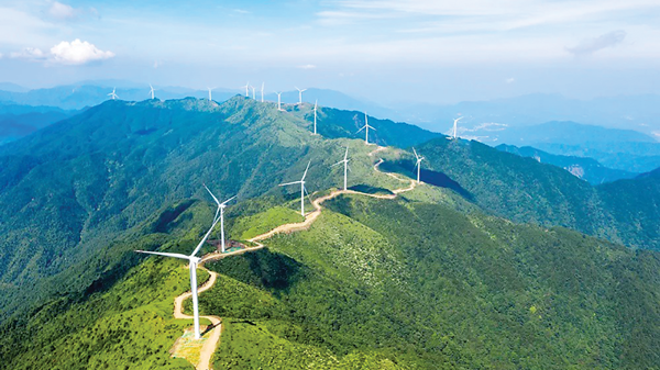 Việt Nam cần xây dựng chiến lược riêng để chuyển đổi xanh