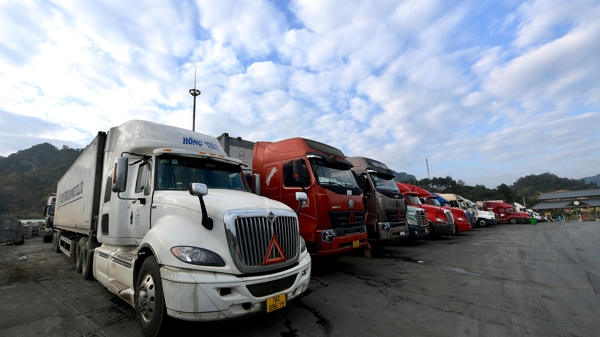 Hoạt động xuất, nhập khẩu biên mậu phía Bắc tăng trưởng tốt