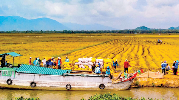 Giải bài toán nguồn vốn để đánh thức “vùng đất chín rồng”