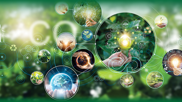 5 năm để hành động