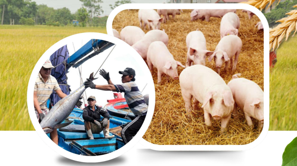 Xuất khẩu nông lâm thuỷ sản đã lập kỷ lục 56,7 tỷ USD