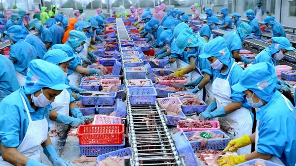 Xuất khẩu thuỷ sản cán đích 10 tỷ USD