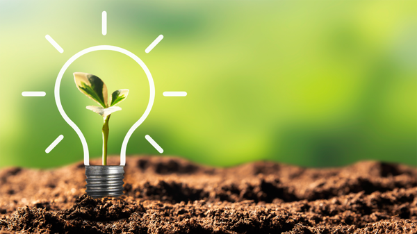 Doanh nghiệp trong xu thế phát triển xanh