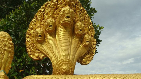 Con rắn gắn với nhà nông, đồng ruộng