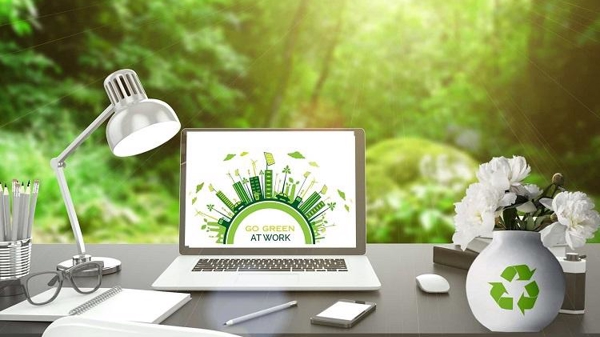 Thị trường việc làm 