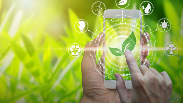 Biến áp lực chuyển đổi xanh thành cơ hội