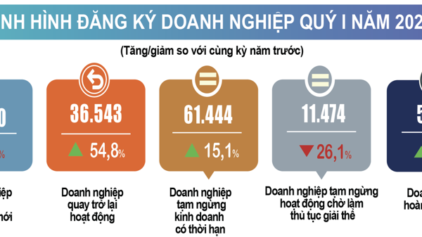 Quý 1/2025: Số doanh nghiệp thành lập mới giảm nhẹ, số doanh nghiệp tái gia nhập thị trường tăng mạnh