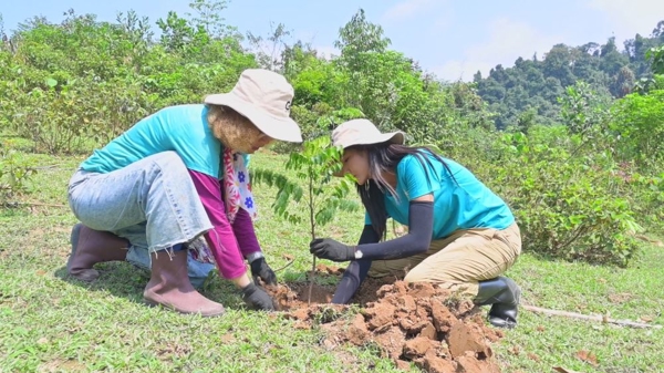 Sản xuất nông nghiệp quý 1/2025: Trồng rừng tăng mạnh; nông, thuỷ sản đẩy mạnh ứng dụng công nghệ cao