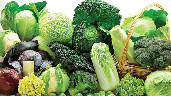 Cách mạng thực phẩm xanh từ thói quen tái chế