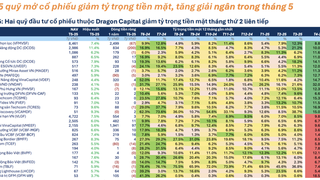 Hiệu suất bay cao, các quỹ cổ phiếu mạnh tay "xuống tiền" trong tháng 5 