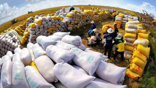 Rice export revenue reaches $2.34 billion in 5M