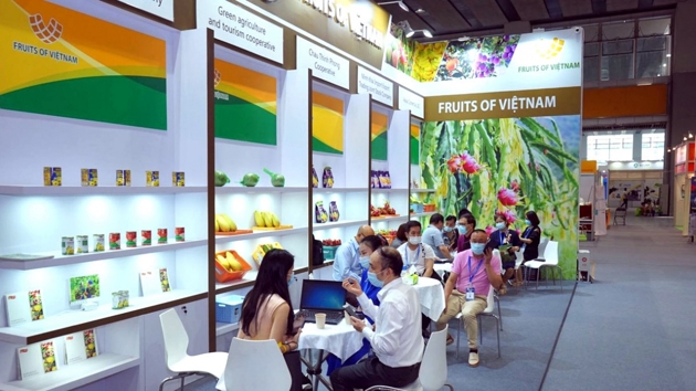 Thúc đẩy xúc tiến thương mại toàn diện trong và ngoài nước