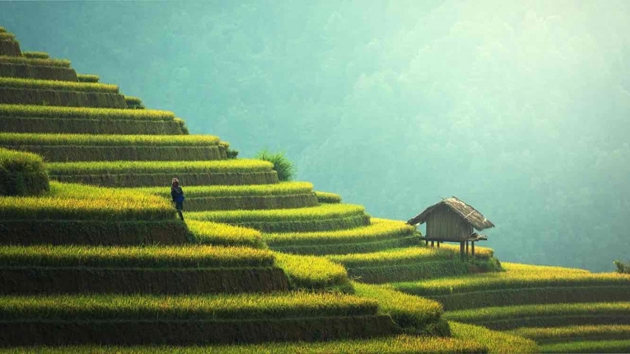 Nearly 11 million international arrivals fuel Vietnam's tourism push