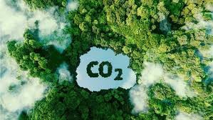 Việt Nam xây dựng thị trường carbon: Từ cam kết Net Zero đến "tiền tệ xanh" của tương lai