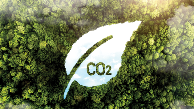 EU gặp thách thức để đạt các mục tiêu khí hậu do rừng suy yếu hấp thụ ít CO2 hơn