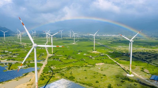 Wind power likely to disappoint foreign investors