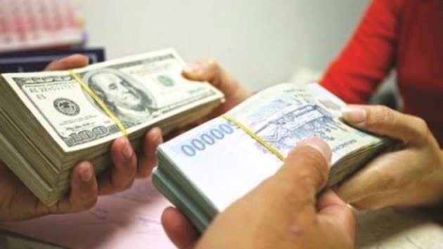 VDSC: VND may depreciate 5% this year