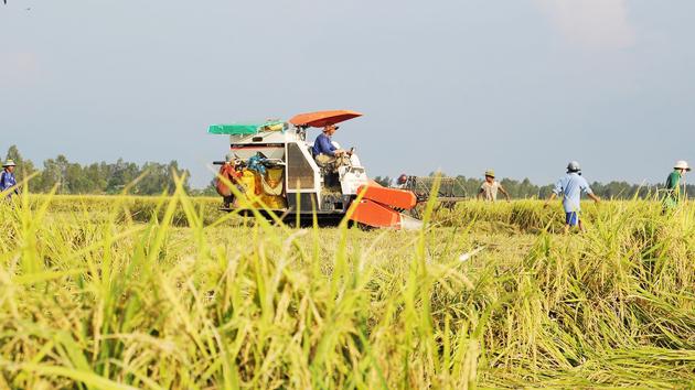 Nông nghiệp vẫn là trụ cột kinh tế của Thái Bình 