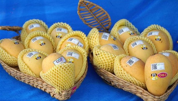 Vietnam's Agricultural Exports Face Repeated Setbacks in RoK Market
