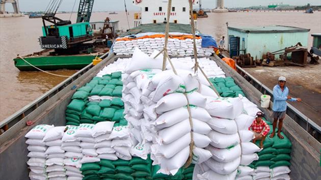 Xuất khẩu gạo vẫn tiềm ẩn nhiều thách thức