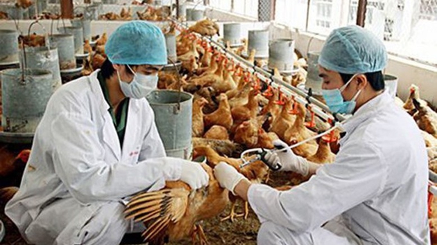 PM asks to enhance livestock and poultry disease prevention and control