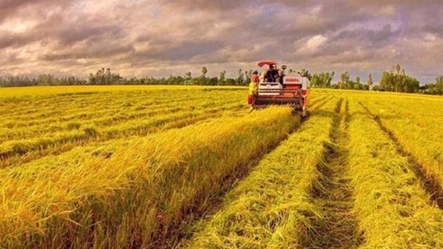 WB pledges $350 mln loans for Vietnam's low-carbon rice cultivation