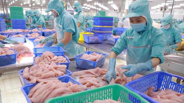 2024 tra fish export estimated to reach $1.8 bln