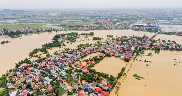 Agriculture on way to recovery from Typhoon Yagi