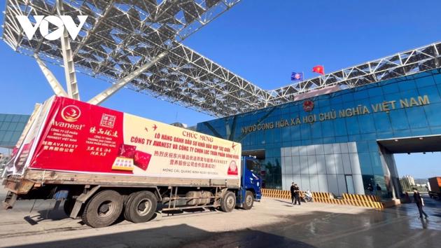 Quang Ninh ships first batch of bird’s nest products to China via Quang Ninh border