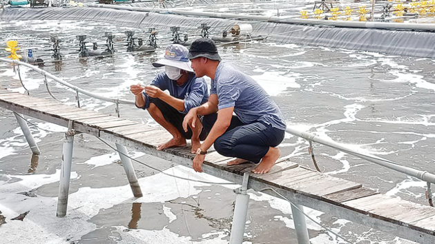 Forum seeks solutions for sustainable aquaculture in the Mekong Delta