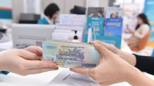 HCM City credit sees double-digit growth in November