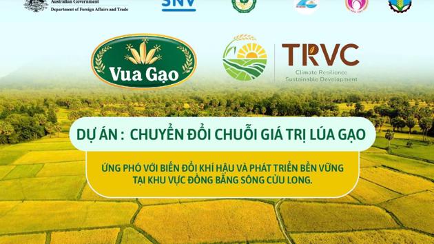 Tiếp bước hành trình 1xbet com phim: Vua Gạo mở rộng quy mô dự án TRVC trong năm 2025