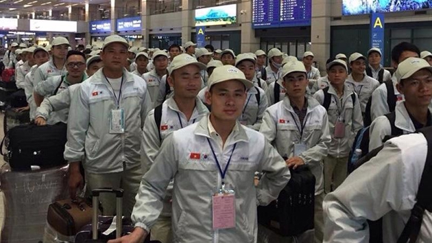 Vietnam expands high-income overseas labor markets in 2025