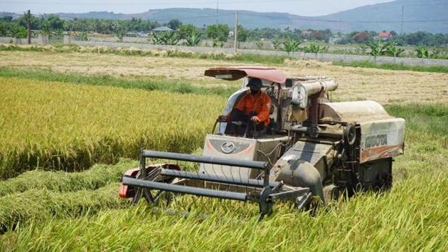 PM asks kèo nhà cái bet88 maintain stability in production, sale, and export of agricultural, forestry, and aquatic products