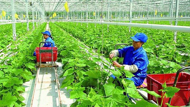 Nghiên cứu, thử nghiệm và nhân rộng các mô hình kinh tế xanh