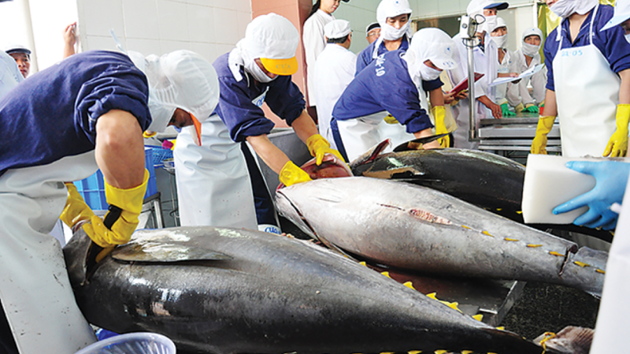 Vietnam's seafood exports earn $3.3 billion in 4M