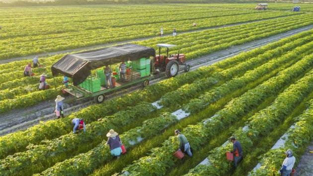 Australia hỗ trợ 2 triệu đô la Úc cho các giải pháp sáng tạo ứng phó với biến đổi khí hậu trong ngành nông nghiệp Việt game bet88