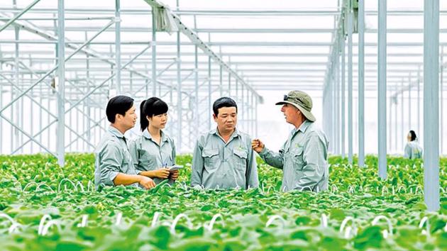 For green finance and technology