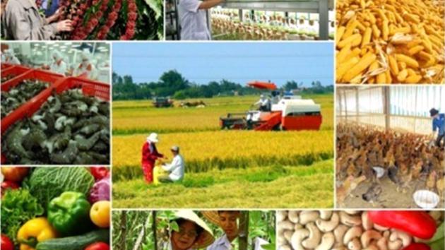 Agro-forestry and fishery production grows well in 5M