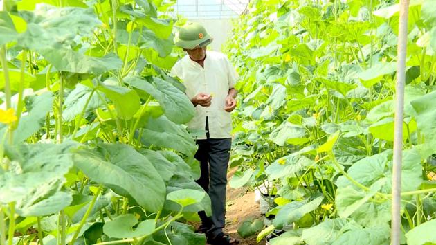 Thanh Hóa đẩy mạnh kết nối thị trường, phát triển nông nghiệp xanh