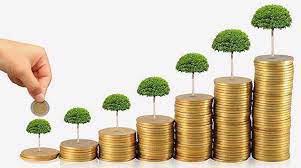 Phân quyền, phân cấp trong lĩnh vực môi trường