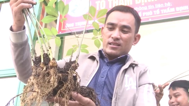 Hơn 2.000 lượt người đến tham quan, mua sắm tại Phiên chợ Sâm Ngọc Linh