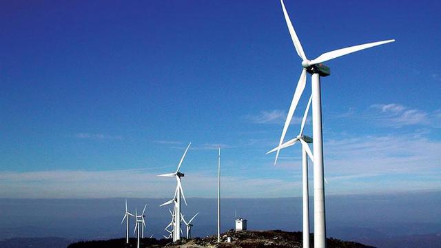 Read more about the article Doanh nghiệp nói gì về 62 dự án điện gió “hụt” ưu đãi?