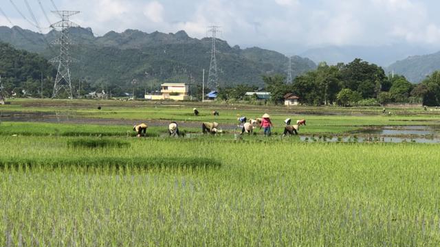 Read more about the article Sơn La dự kiến giảm 13.000 ha đất nông nghiệp trong kế hoạch sử dụng đất 5 năm tới