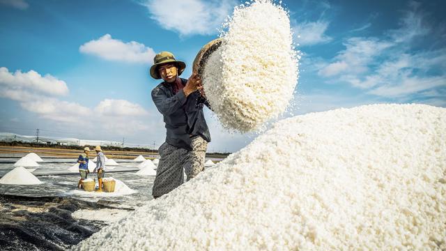 Read more about the article Bạc Liêu, Đồng Tháp…hướng đến phát triển bền vững, nông dân “đổi đời”