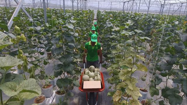 Read more about the article Khu Nông nghiệp công nghệ cao TP.HCM sẽ là đầu mối “dẫn dắt” nông nghiệp phía Nam
