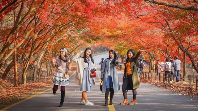 Read more about the article Dừng xuất trình giấy chứng nhận âm tính khi nhập cảnh Hàn Quốc, hút du khách mùa lá đỏ