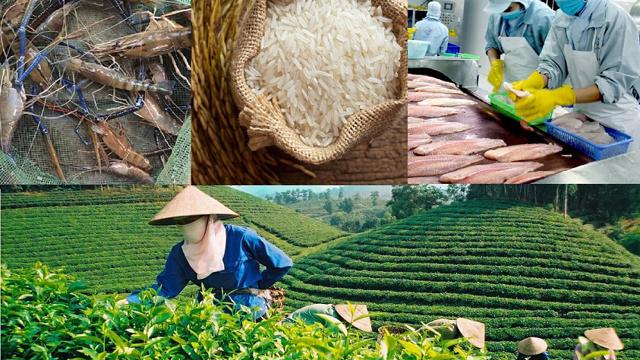 thumbnail - Xuất khẩu nông sản của Việt Nam sang Bắc Âu còn khiêm tốn, vì sao?
