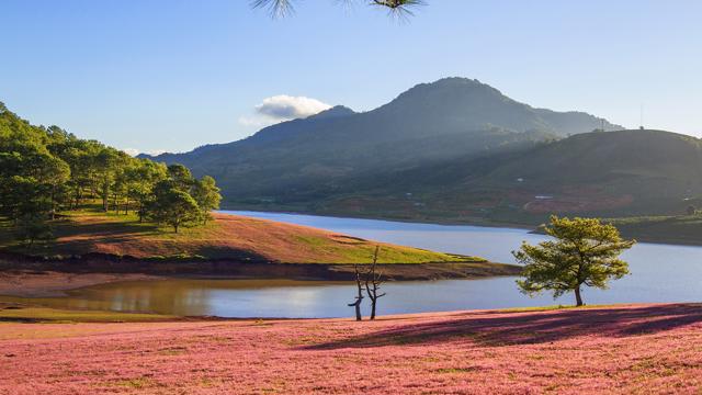 Lâm Đồng công bố quy hoạch khu du lịch Quốc gia Suối Vàng