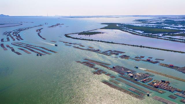 Read more about the article Ninh Thuận thành lập Khu kinh tế ven biển phía Nam với tổng diện tích 43.900 ha